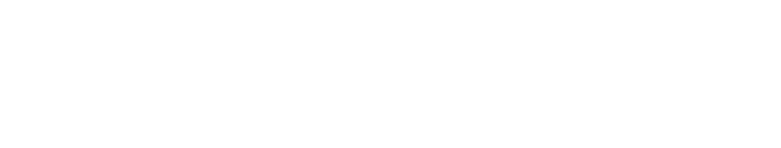 Vesuve Agency